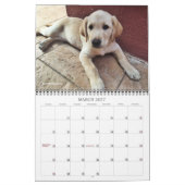 2020オーリザゴールデンラブラドール子犬 カレンダー (3月 2027)