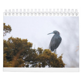 2020カレンダー カレンダー