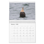 2020カレンダー カレンダー (2月 2026)