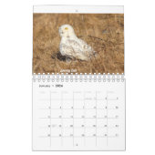 2020カレンダー カレンダー (1月 2026)