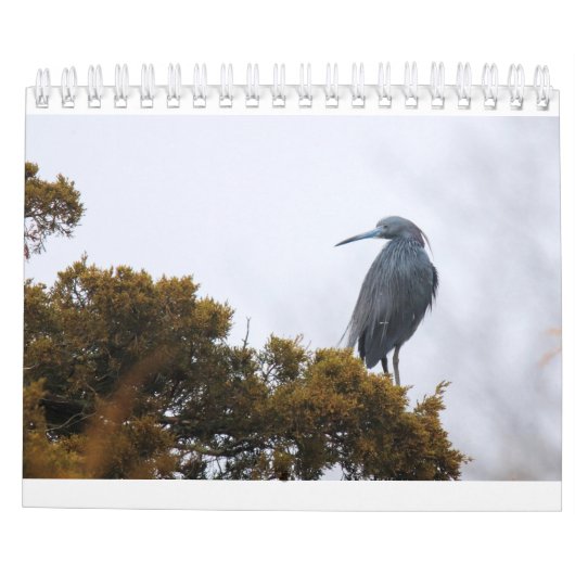 2020カレンダー カレンダー (裏面)