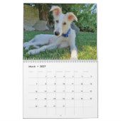 2020シルケンウィンハウンド子犬 カレンダー (3月 2027)
