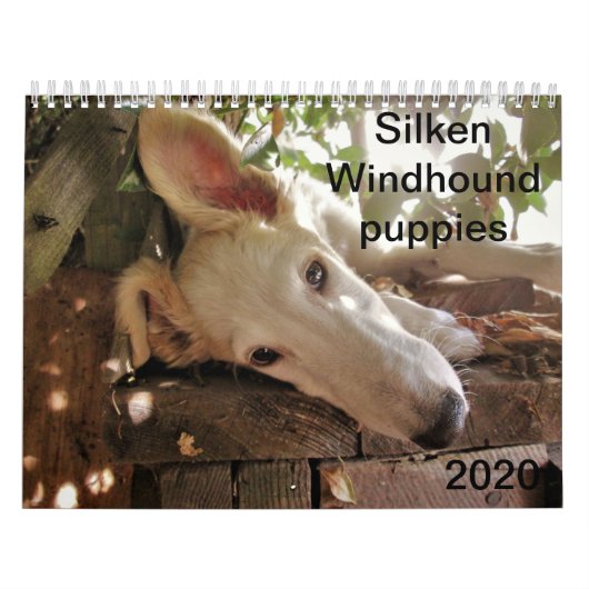 2020シルケンウィンハウンド子犬 カレンダー (カバー)