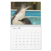 2020リトルペンギンカレンダー カレンダー (1月 2027)