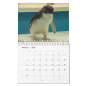 2020リトルペンギンカレンダー カレンダー (2月 2027)