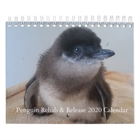 2020リトルペンギンカレンダー カレンダー (カバー)