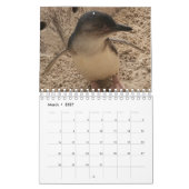 2020リトルペンギンカレンダー カレンダー (3月 2027)