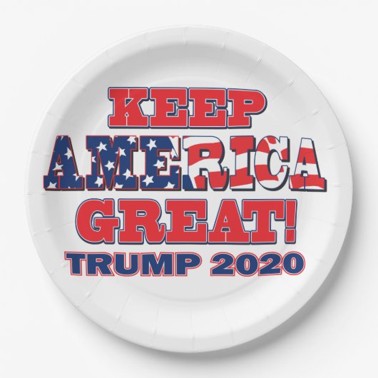2020保年アメリカ素晴らしトランプ ペーパープレート (正面)