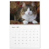 2020年のカレンダーの猫と子猫に興味 カレンダー (3月 2027)