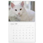 2020年のカレンダーの猫と子猫に興味 カレンダー (1月 2027)