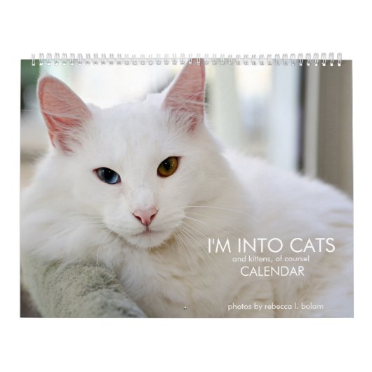2020年のカレンダーの猫と子猫に興味 カレンダー (カバー)