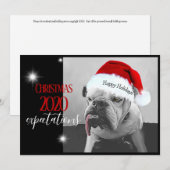 2020年のクリスマスへの期待、ヒューイがサンタ帽をかぶって。 シーズンカード (正面/裏面)