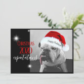 2020年のクリスマスへの期待、ヒューイがサンタ帽をかぶって。 シーズンカード (スタンド正面)