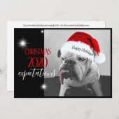 2020年のクリスマス期待、サンタ帽子のHuey。 シーズンカード (正面/裏面)