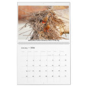 2020年の写真カレンダー カレンダー (1月 2026)