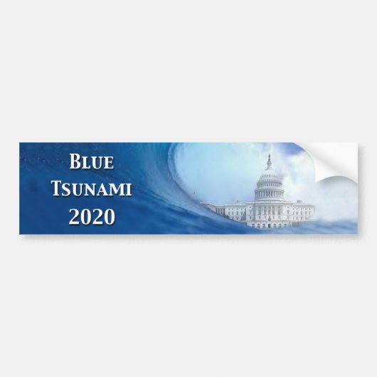 2020年の水津波選挙 バンパーステッカー (正面)