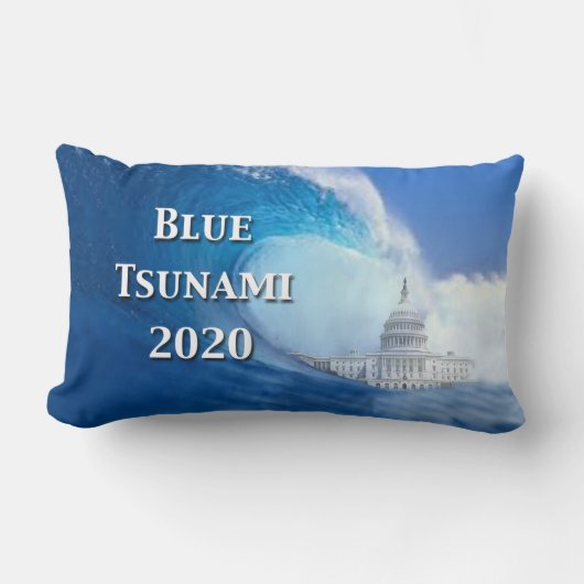 2020年の水津波選挙 ランバークッション (正面)