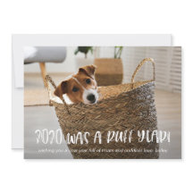 2020年は犬の写真からラフの年の青だった