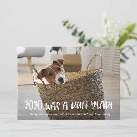 2020年は犬の写真からラフの年の青だった シーズンカード (スタンド正面)