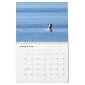 2020年カレンダー南に生息するキラークジラ カレンダー (1月 2026)