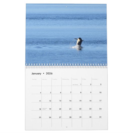 2020年カレンダー南に生息するキラークジラ カレンダー (1月 2026)