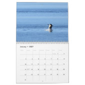 2020年カレンダー南に生息するキラークジラ カレンダー (1月 2027)