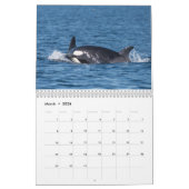 2020年カレンダー – セタセアをフィーチャー カレンダー (3月 2026)