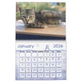 2020年フェラル・キャッツ・カレンダー、フェラル・ライフ カレンダー (1月 2026)