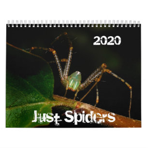 2020年、Just Spiders Calendar、 カレンダー
