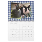 2020年Bunny Rescue & Education カレンダー (1月 2026)