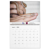 2020年Violetville Pet Calendar〜 Pet ユニーク Edition カレンダー (3月 2026)