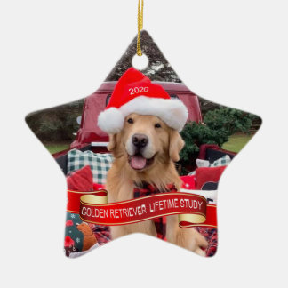 2020星セラミックオーナメント セラミックオーナメント