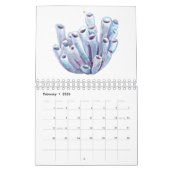 2020水彩海シーライフカレンダー カレンダー (2月 2026)