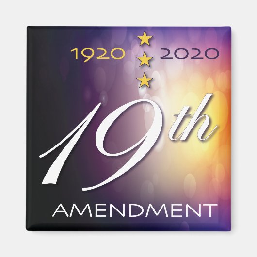 2020祝年…第19条改正 マグネット (正面)