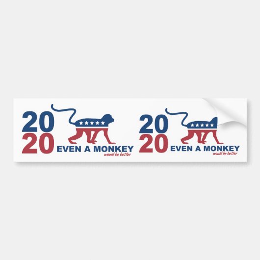 2020米国大統領のための猿さえ。 バンパーステッカー (正面)