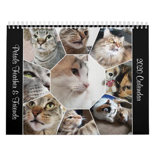 2020花びらの友だちカレンダー カレンダー (カバー)