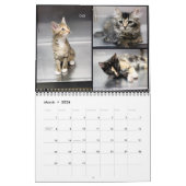 2020花崗岩ヒルズ動物の壁の気にカレンダー カレンダー (3月 2026)