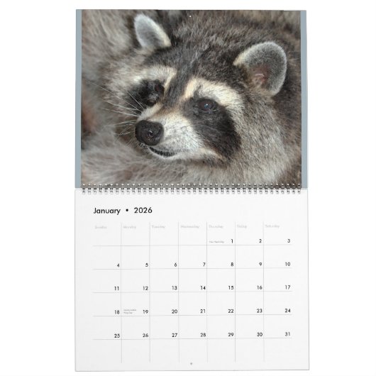 2020野生の青のアライグマの野生動物の救助 カレンダー (1月 2026)