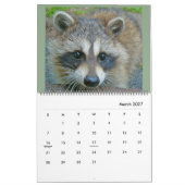 2020野生の青のアライグマ救助のアライグマ カレンダー (3月 2027)