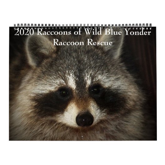 2020野生の青のアライグマ救助のアライグマ カレンダー (カバー)