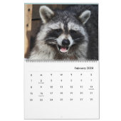 2020野生の青のアライグマ救助のアライグマ カレンダー (2月 2026)
