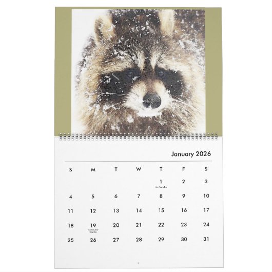 2020野生の青のアライグマ救助のアライグマ カレンダー (1月 2026)