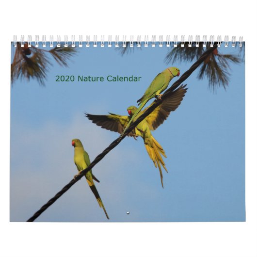 2020鳥花カレンダー カレンダー (カバー)