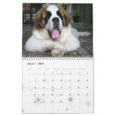 2020 かわいい犬の種類 セントバーナードの子犬 カレンダー (3月 2027)