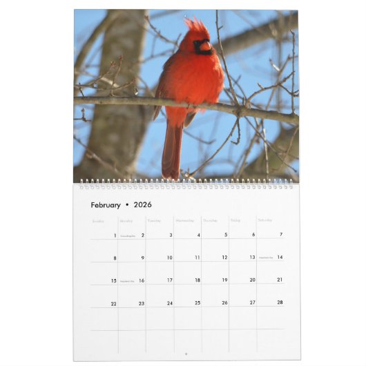 2020(鳥)ショウジョウコウカンチョウカレンダー カレンダー (2月 2026)
