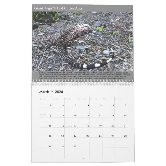 2020 3Dデジタルアート自然カレンダー カレンダー (3月 2026)