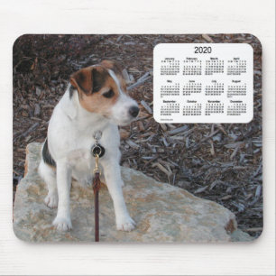 2020 Jack Russell Terier Dog Calendar by Janz マウスパッド