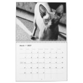 2020 Sphynx子猫 カレンダー (3月 2027)