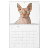 2020 Sphynx子猫 カレンダー (1月 2027)