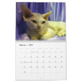 2020 Sphynx子猫 カレンダー (2月 2027)